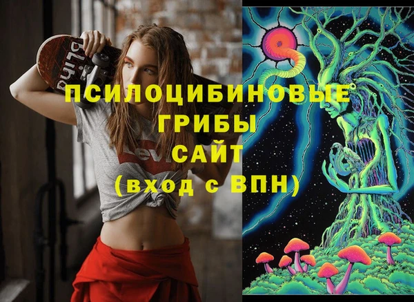 сатива Балахна